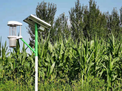 致敬耕耘者！「盤點2021」農業科技公司的情懷與擔當